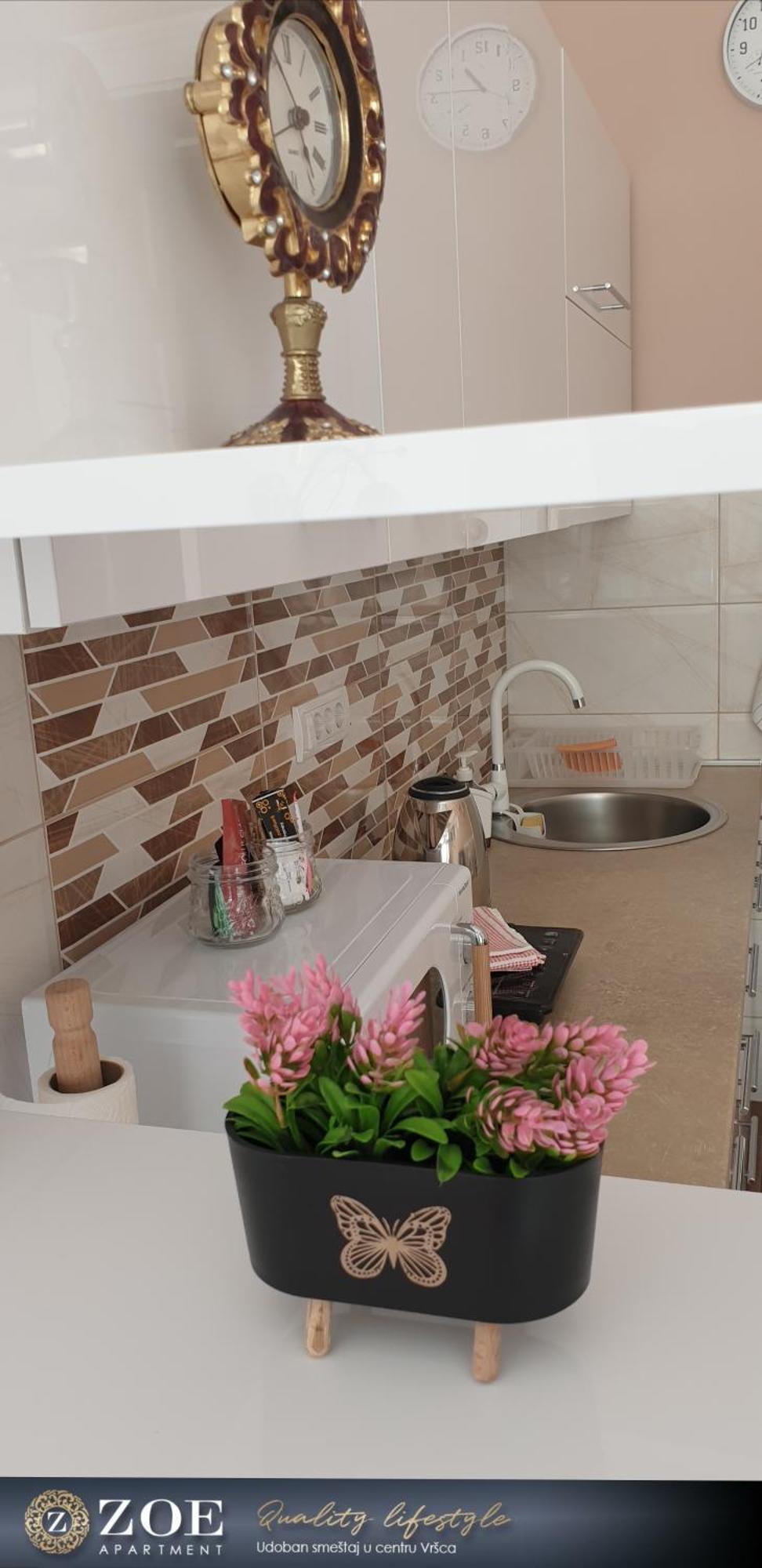 Zoe Apartment Vrsac Luaran gambar